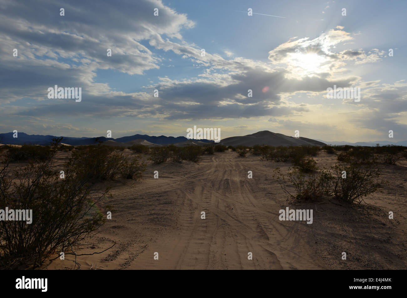 Sanddünen entlang der Amargosa Wüste bei Sonnenuntergang. Gelegen im Nye County im westlichen Nevada, USA, entlang der Grenze CA-NV. Stockfoto