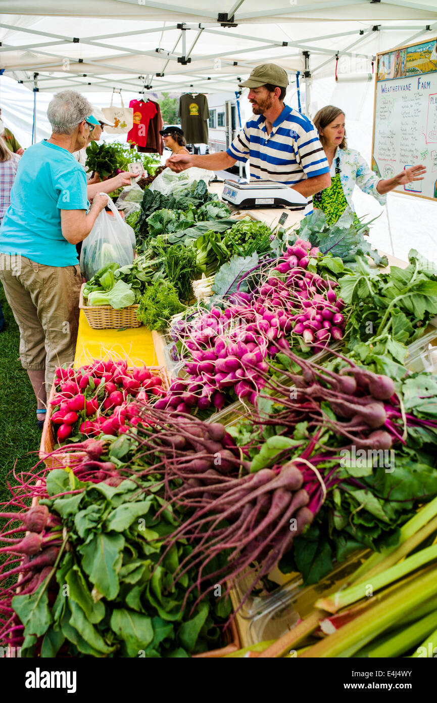 Frisches Obst, Gemüse und Produkten auf saisonale Bauernmarkt im kleinen Bergdorf Stadt Salida, Colorado, USA Stockfoto