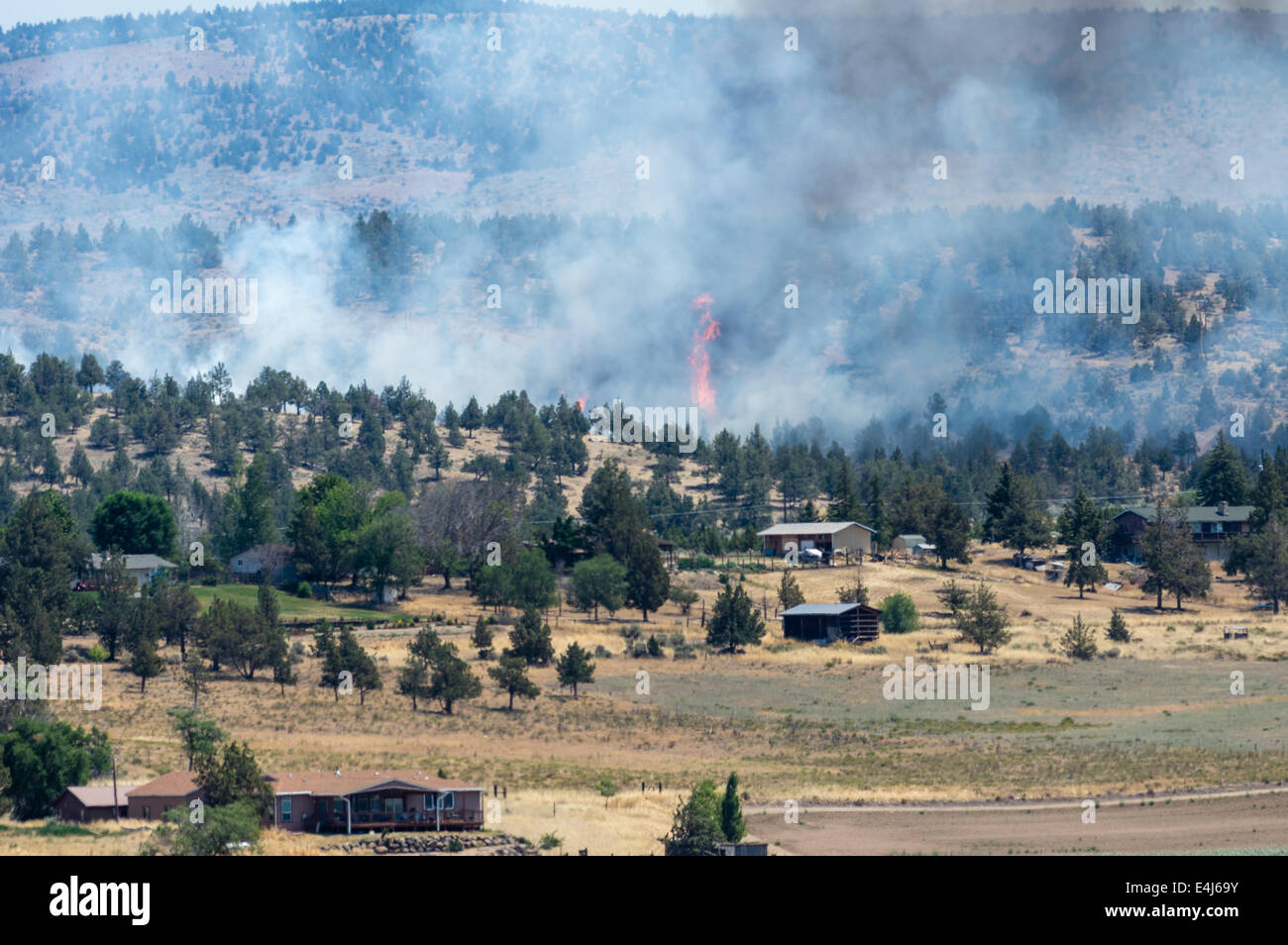 MADRAS, OREGON, 12. April 2014. Ein Lauffeuer bricht in Flamme in der Nähe von Häusern und Nebengebäuden vor den Toren der Stadt von Madras, Oregon in Zentral-Oregon. Stockfoto