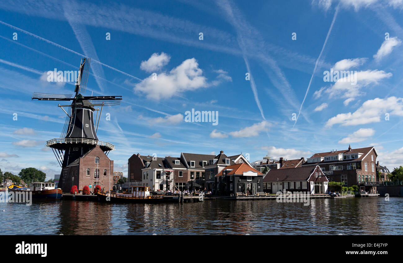 Windmühle in Haarlem, Niederlande Stockfoto