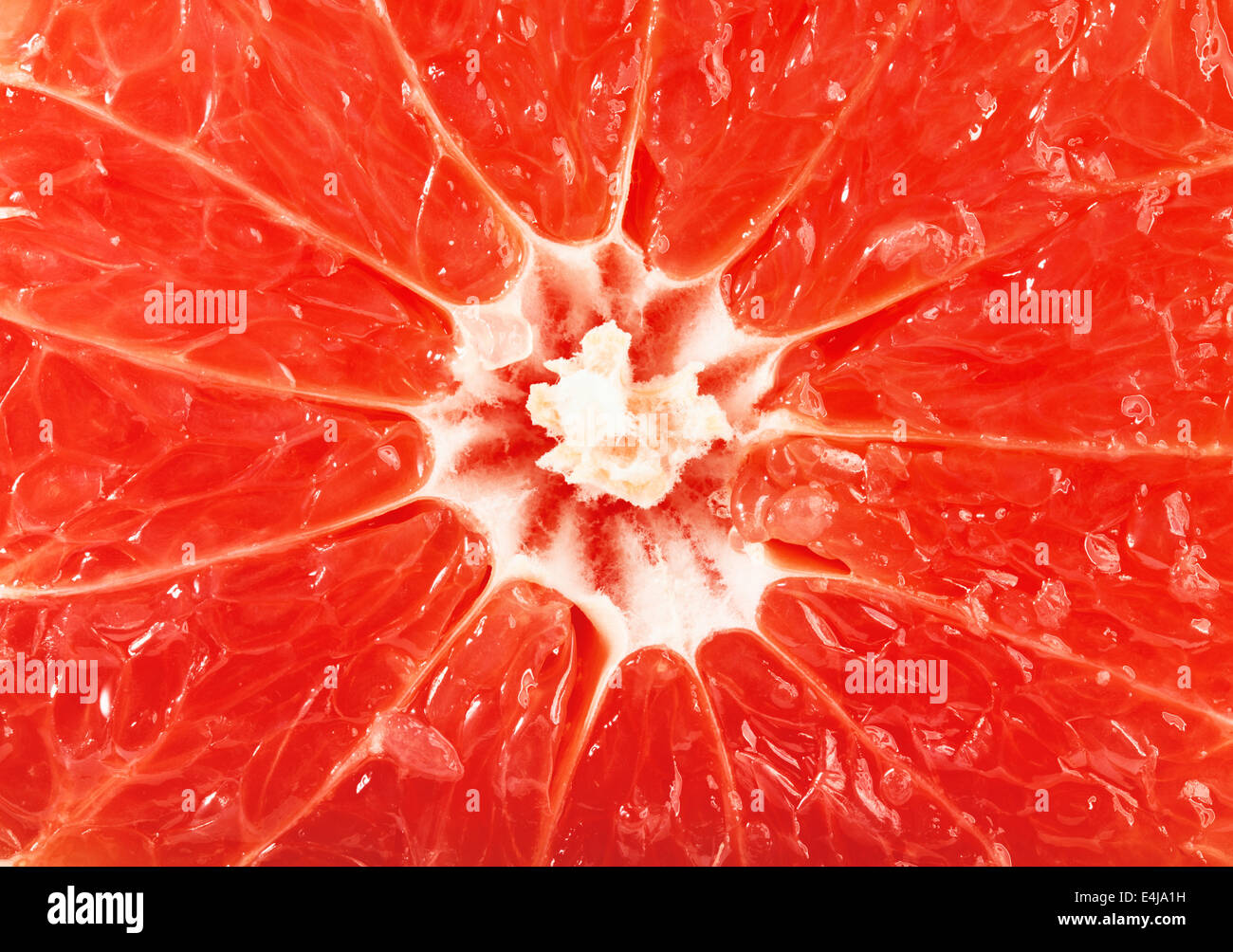Grapefruit-Scheiben-Hintergrund für Sie entwerfen Stockfoto