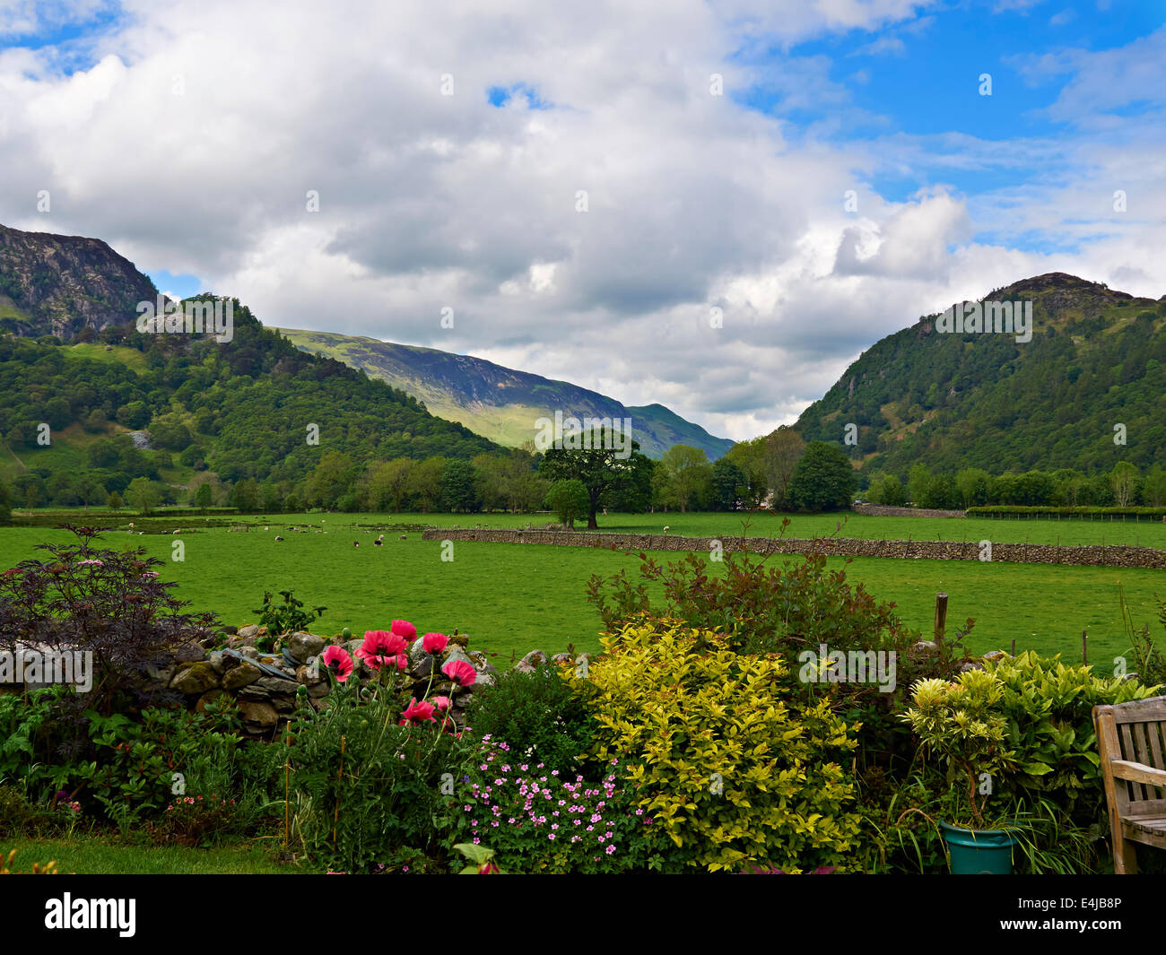 Könige wie Schloss Fels und Maiden Moor von einem hübschen Garten in Rosthwaite, Borrowdale, Cumbria Stockfoto