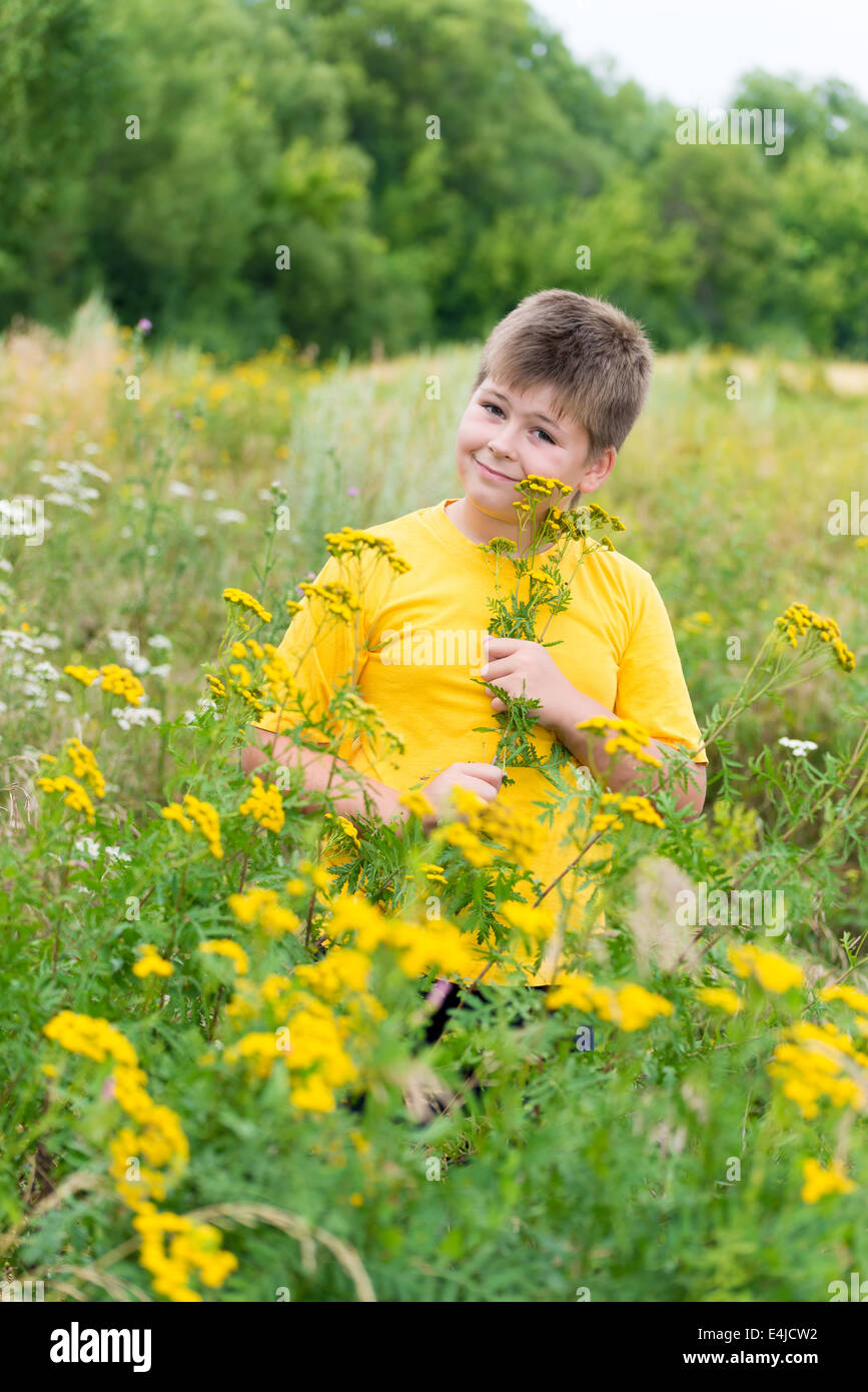 Junge auf Wiese mit Rainfarn Stockfoto