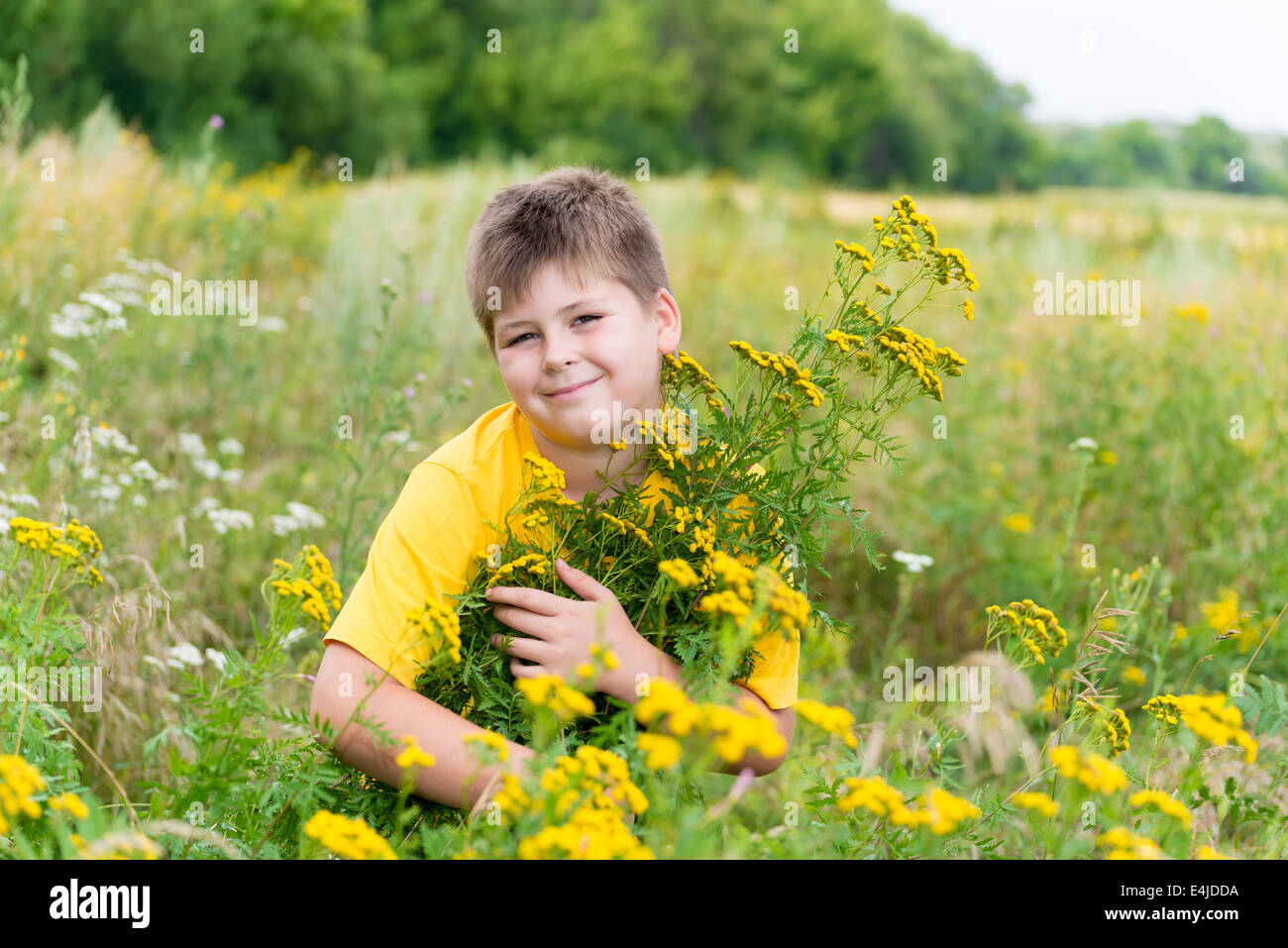 Junge auf Wiese mit Rainfarn Stockfoto