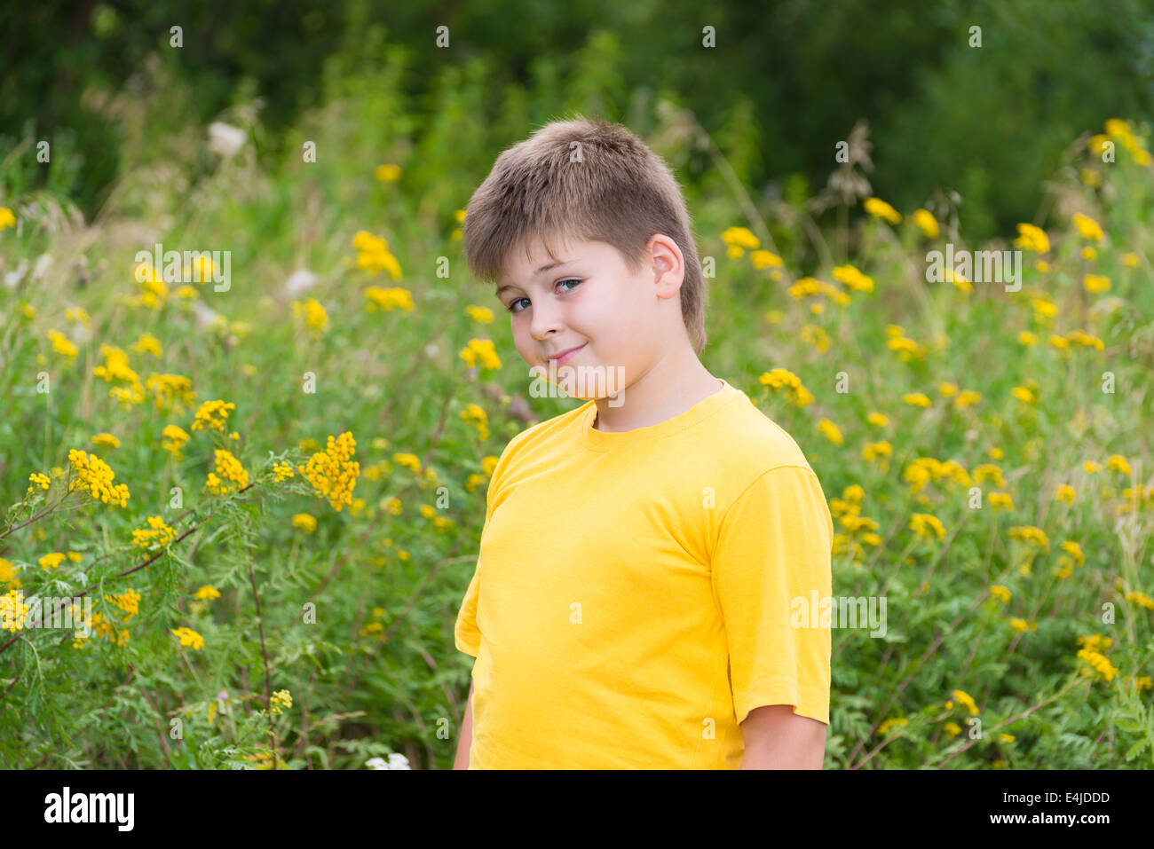 Junge auf Wiese mit Rainfarn Stockfoto