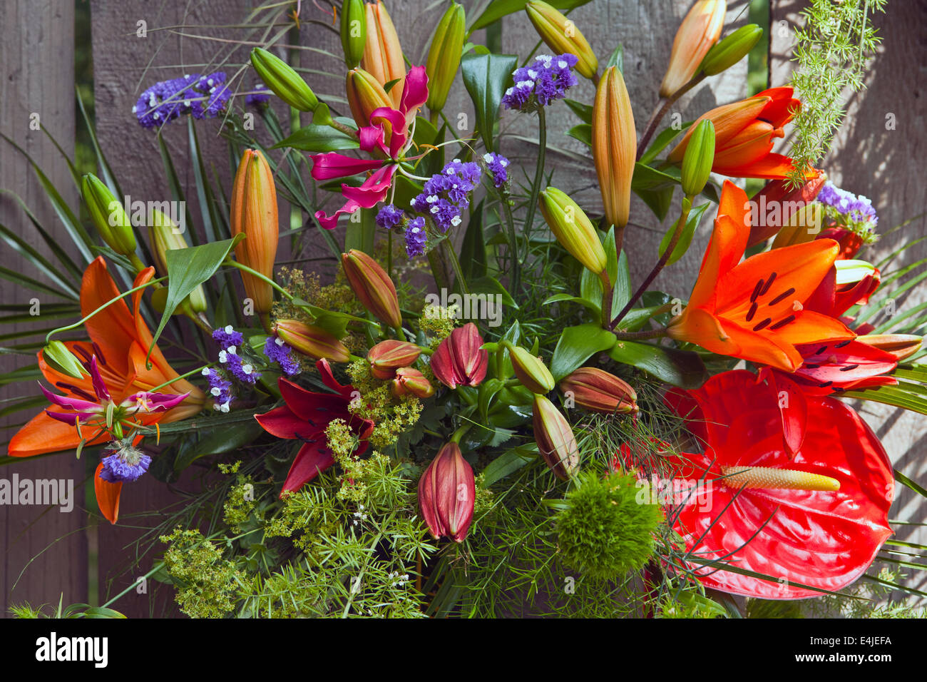 Schöner Blumenstrauß an LU Botanical Garden Riga Lettland Stockfoto