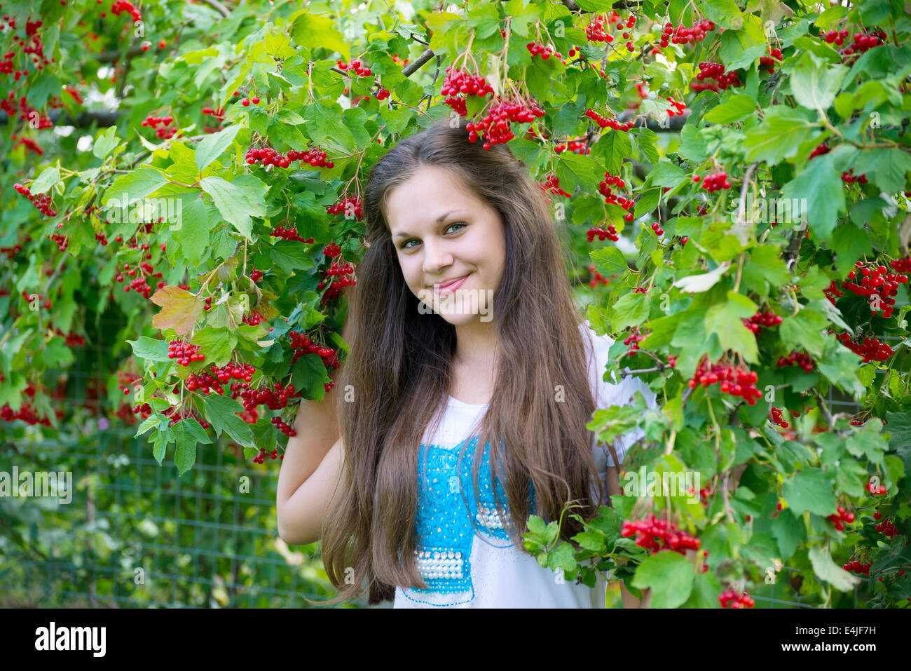 Teen Mädchen in der Nähe der roten viburnum Stockfoto