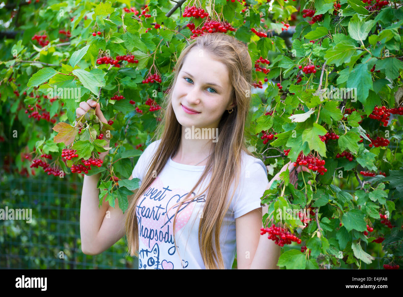 Teen Mädchen in der Nähe der roten viburnum Stockfoto