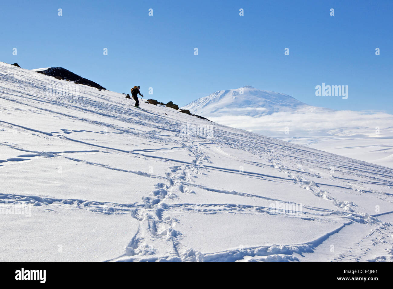 Ski Skifahren Verschneiten Hang Hinunter Auf Ross Island Antarktis Mount Erebus Sudlichste Vulkan Im Hintergrund Stockfotografie Alamy
