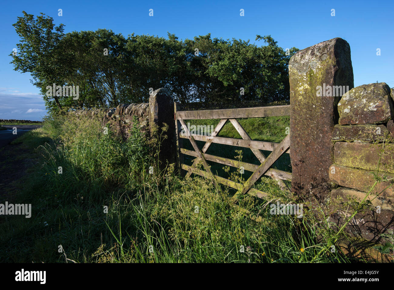 Ein Feld-Tor mit Blick auf die aufgehende Sonne in der Nähe von zweimal gebraut in Northumberland. Stockfoto