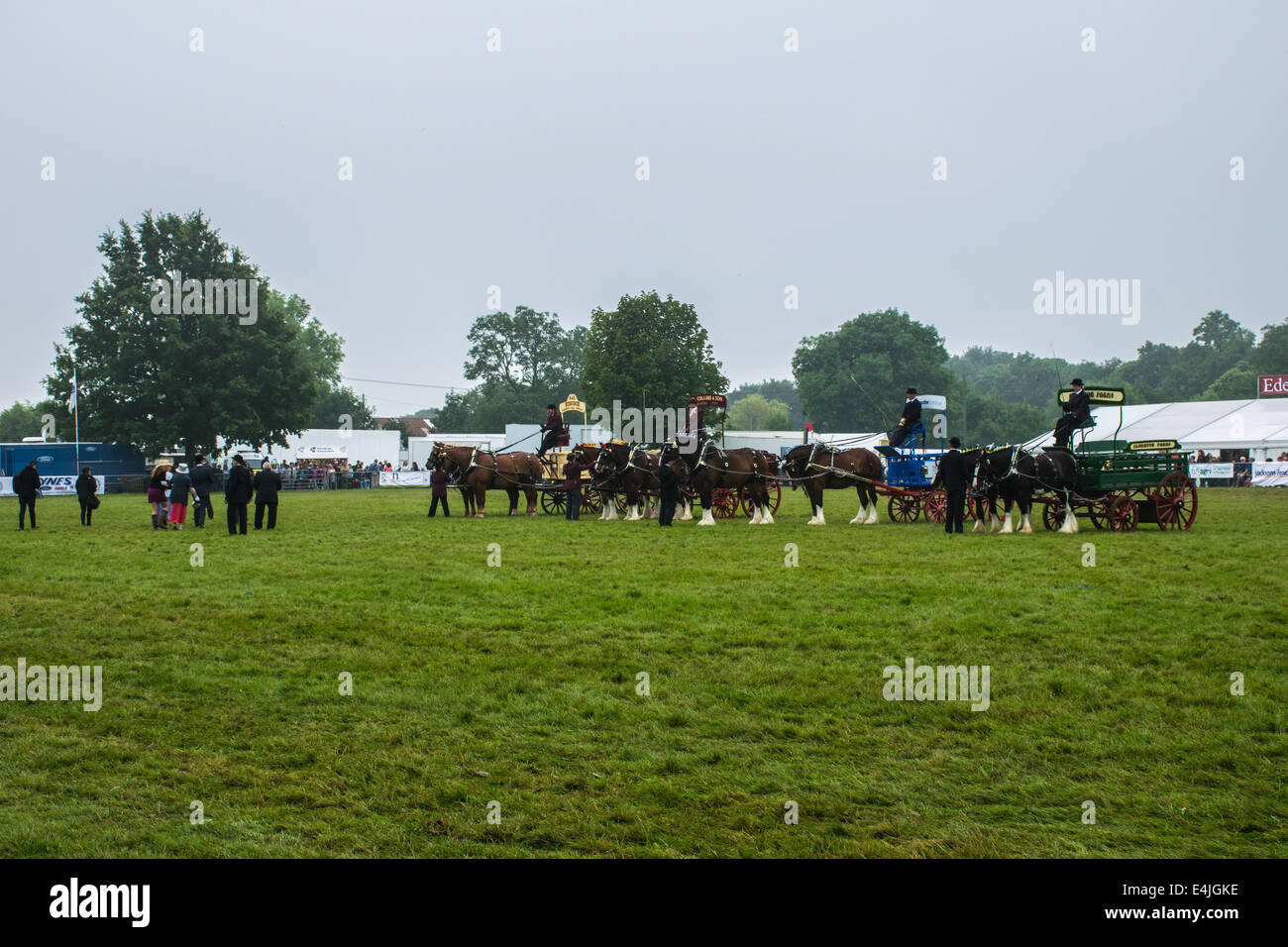 Schwere Pferde auf der Kent County Show, 2014 Stockfoto