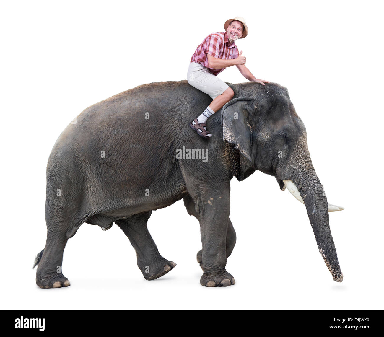 Happy Tourist reitet auf einem Elefanten und Daumen auftaucht Stockfoto