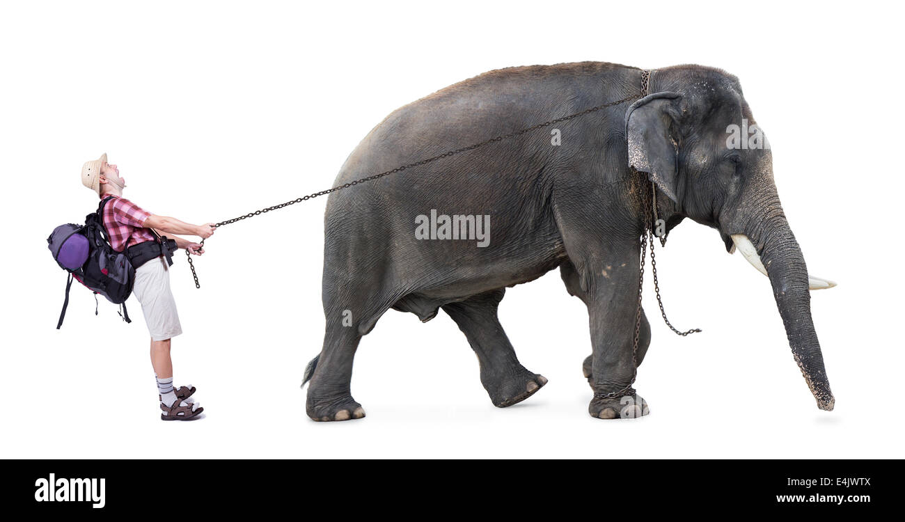 Elefant zieht auf Kette unglücklich tourist Stockfoto
