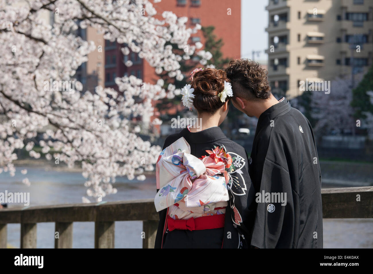 Junges Paar in traditionellen Hochzeitskleidung auf Brücke in Higashi Chaya Bezirk während der Kirschblüte, Kanazawa, Japan Stockfoto