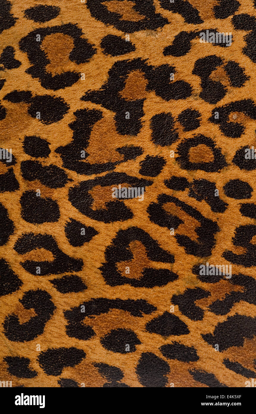 Leoparden-print-Muster Stockfoto