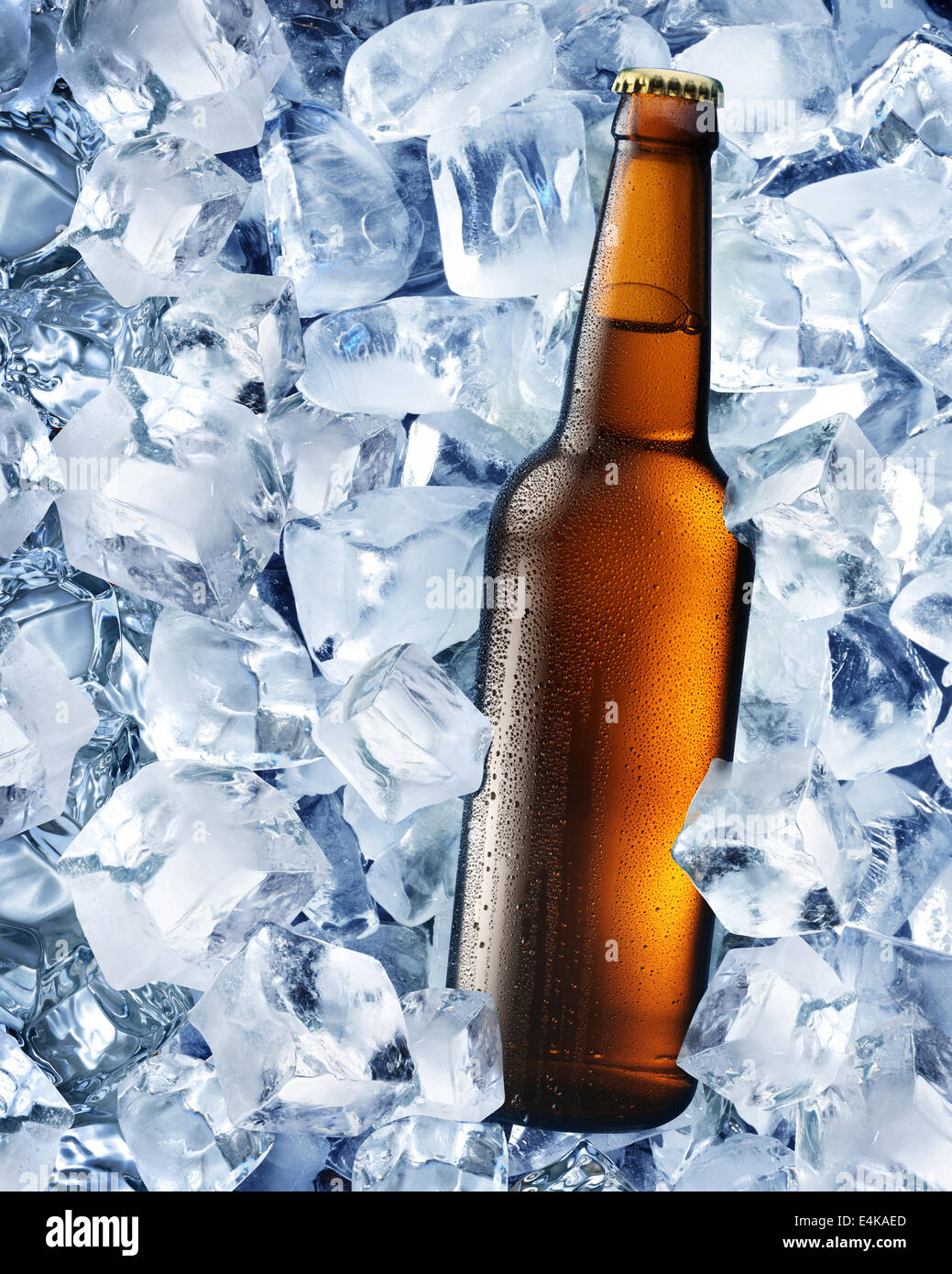 Eine Flasche Bier in Eiswürfel. Stockfoto