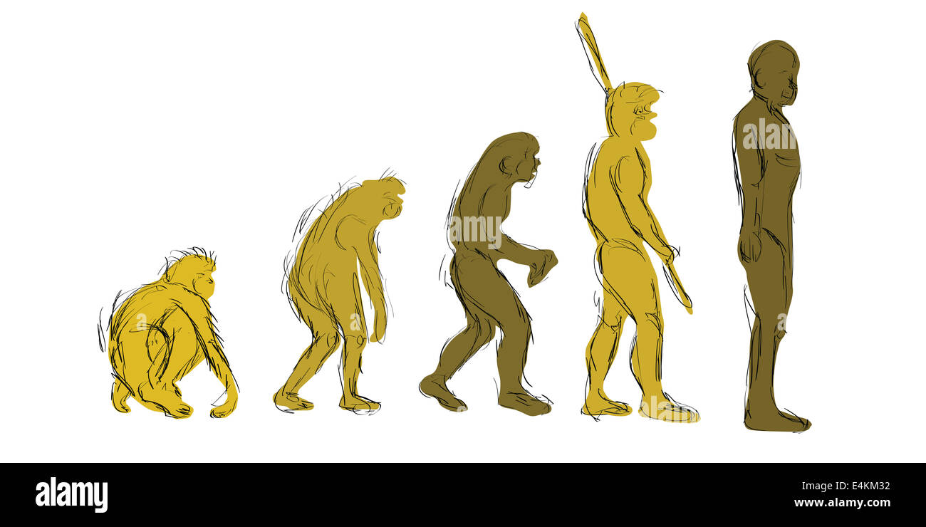 Evolution Hand-zeichnen Stockfoto