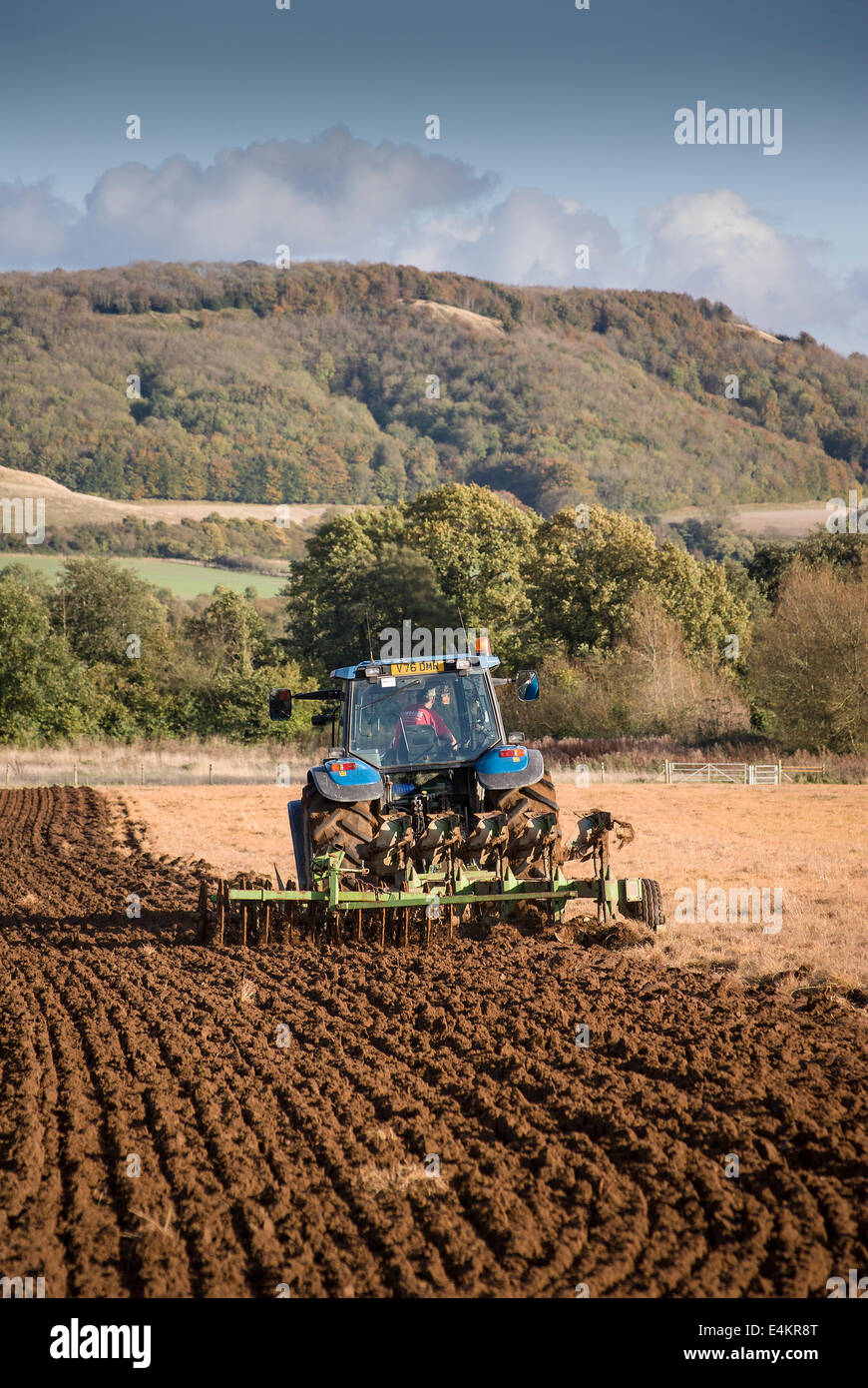 Nach der Ernte einer Ernteguts ist die Oberfläche von Traktor und Egge vergraben die restlichen Stoppeln aktiviert. Stockfoto