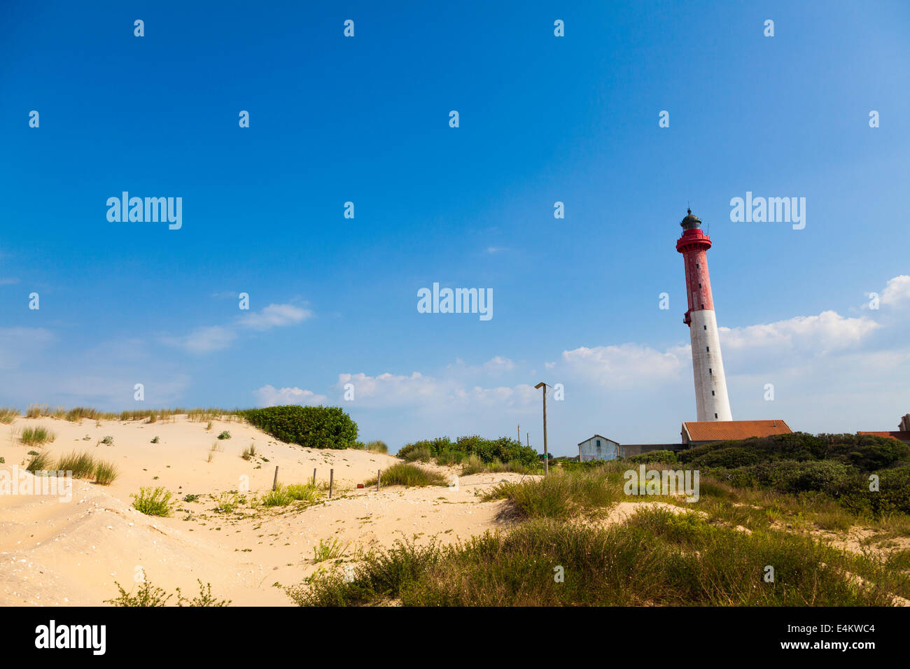 Der Leuchtturm von La Coubre Phare De La Coubre Les Mathes in Frankreich. Stockfoto