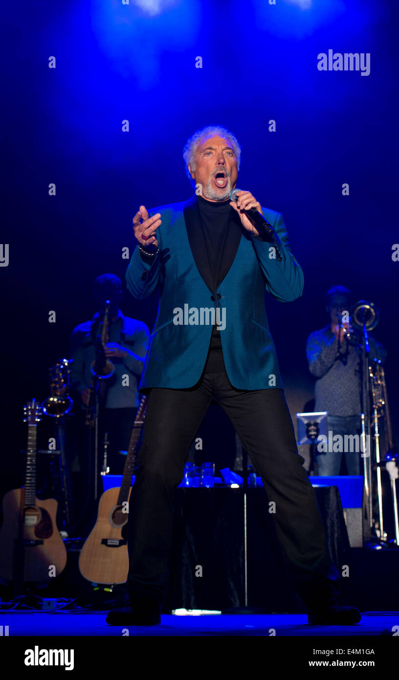 Walisische Sänger Tom Jones auf der Bühne in Chepstow Racecourse. Stockfoto