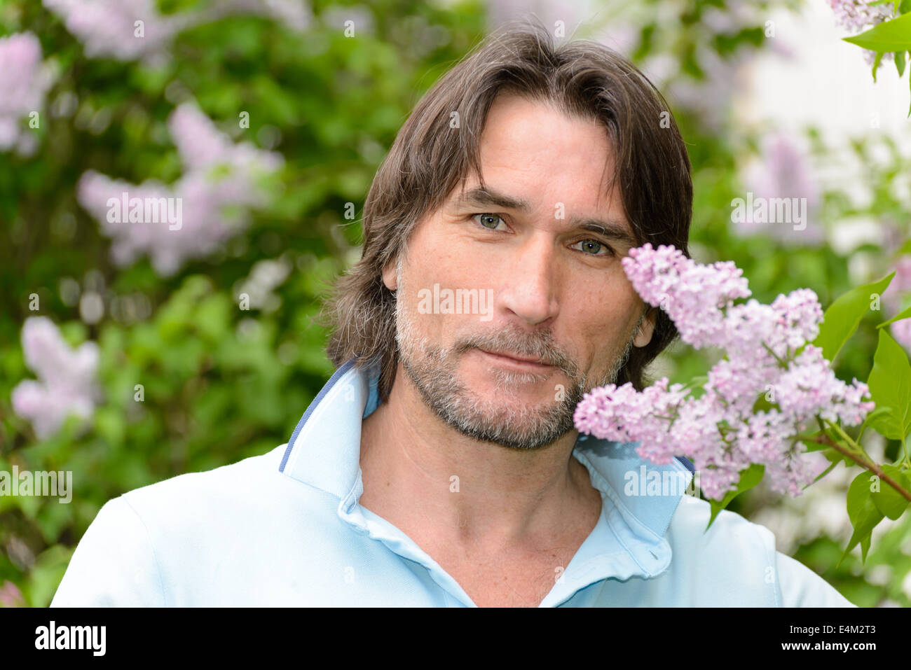 Im mittleren Alter Mann in der Nähe von blühenden Flieder Stockfoto
