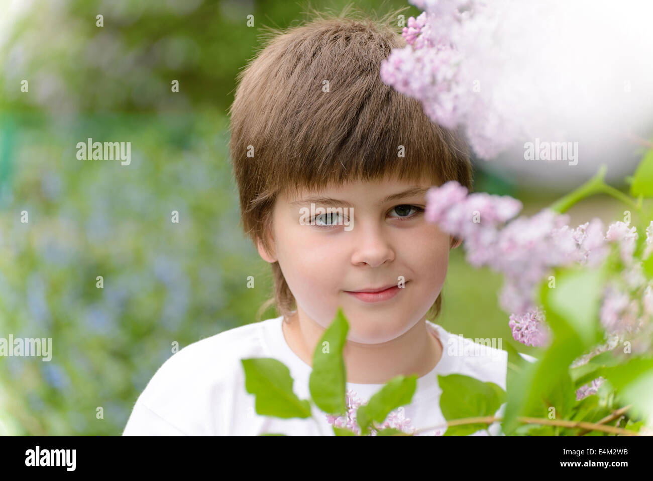 Ein Junge 10 Jahre in der Nähe von blühenden Flieder Stockfoto