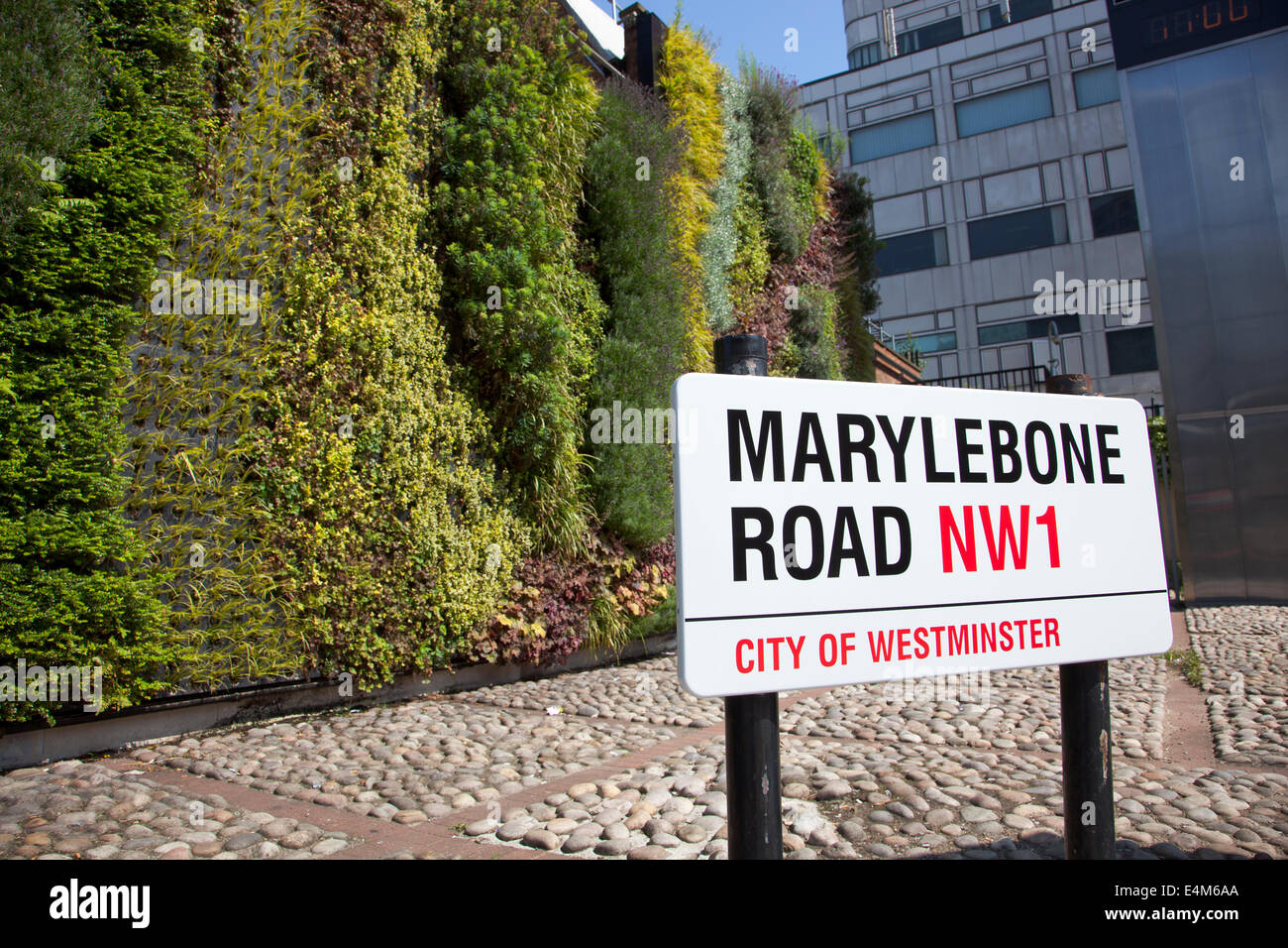 Vereinigtes Königreich, London - grüne Wand auf Marylebone Road ist Teil des TFL grüne Infrastrukturplan zur Verbesserung der lokalen Luftqualität Stockfoto