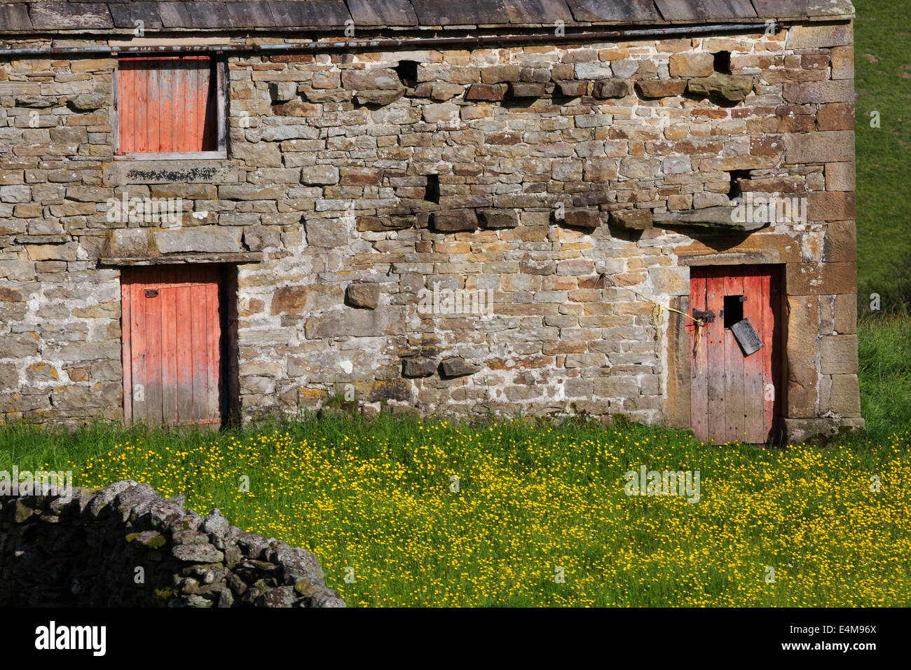 Stein-Scheune mit roten Türen, Swaledale, Yorkshire Dales Stockfoto