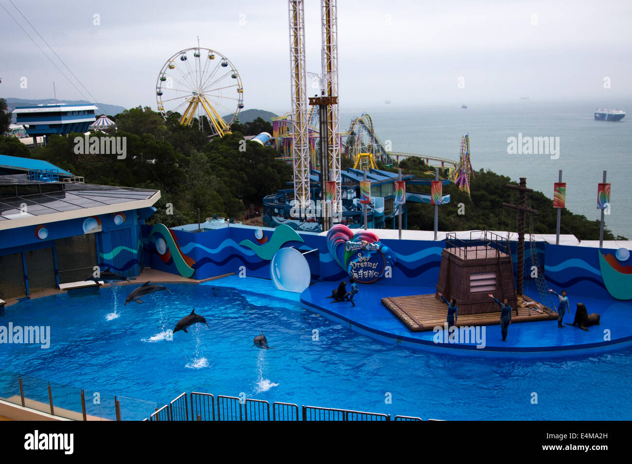 CHINA HONG KONG Ocean Park Aquarium Delphin Wasser Stockfoto