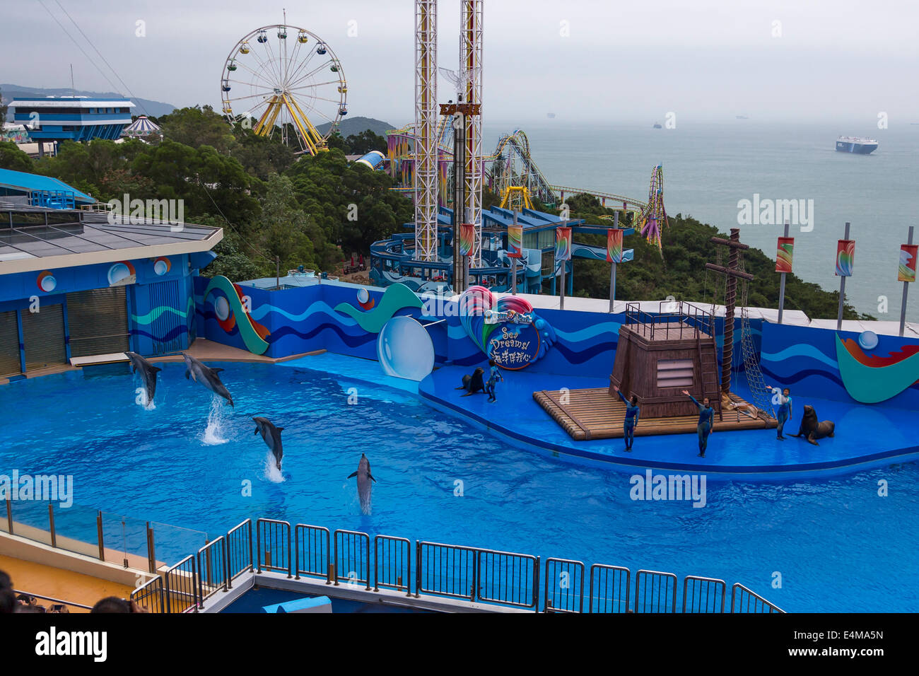 CHINA HONG KONG Ocean Park Aquarium Vögel Delphin-show Stockfoto