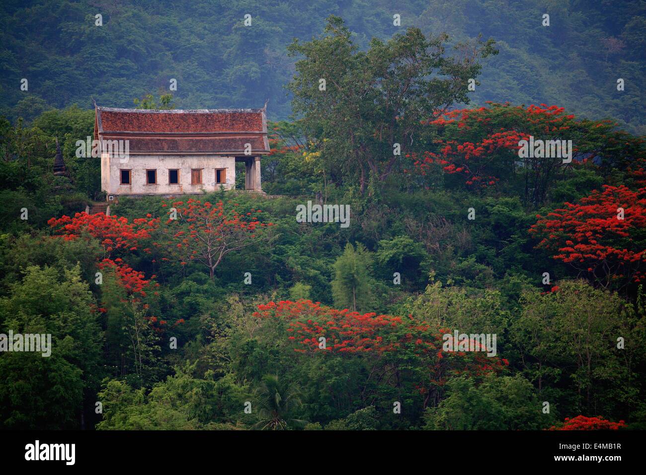 Ein schönes Haus im Wald in der Nähe von Luang Prabang, Laos Stockfoto