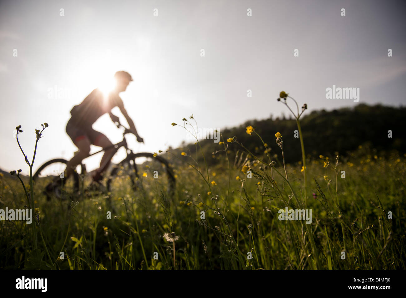 Mann fahren Mountainbike in der Natur in die Landschaft von Bologna, Italien Stockfoto