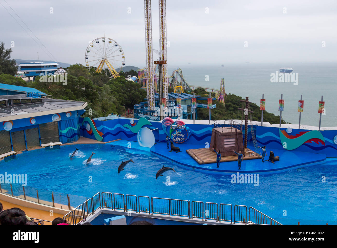 CHINA HONG KONG Ocean Park Aquarium Vögel Delphin-show Stockfoto