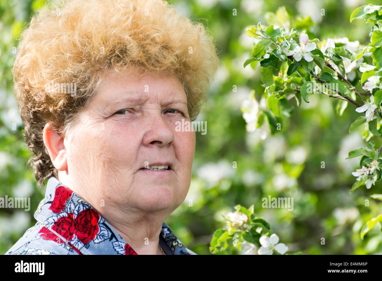 Ältere Frau in einem Frühlingsgarten Stockfoto