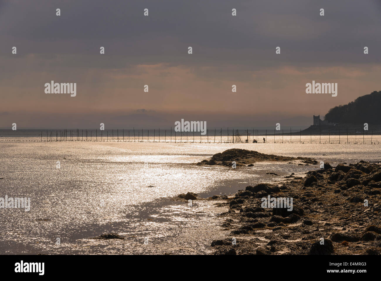 Fischer, die eher traditionellen Lachsnetze, Balcary Bay, Auchencairn Bay, Solway Firth, Dumfries and Galloway, Schottland Stockfoto