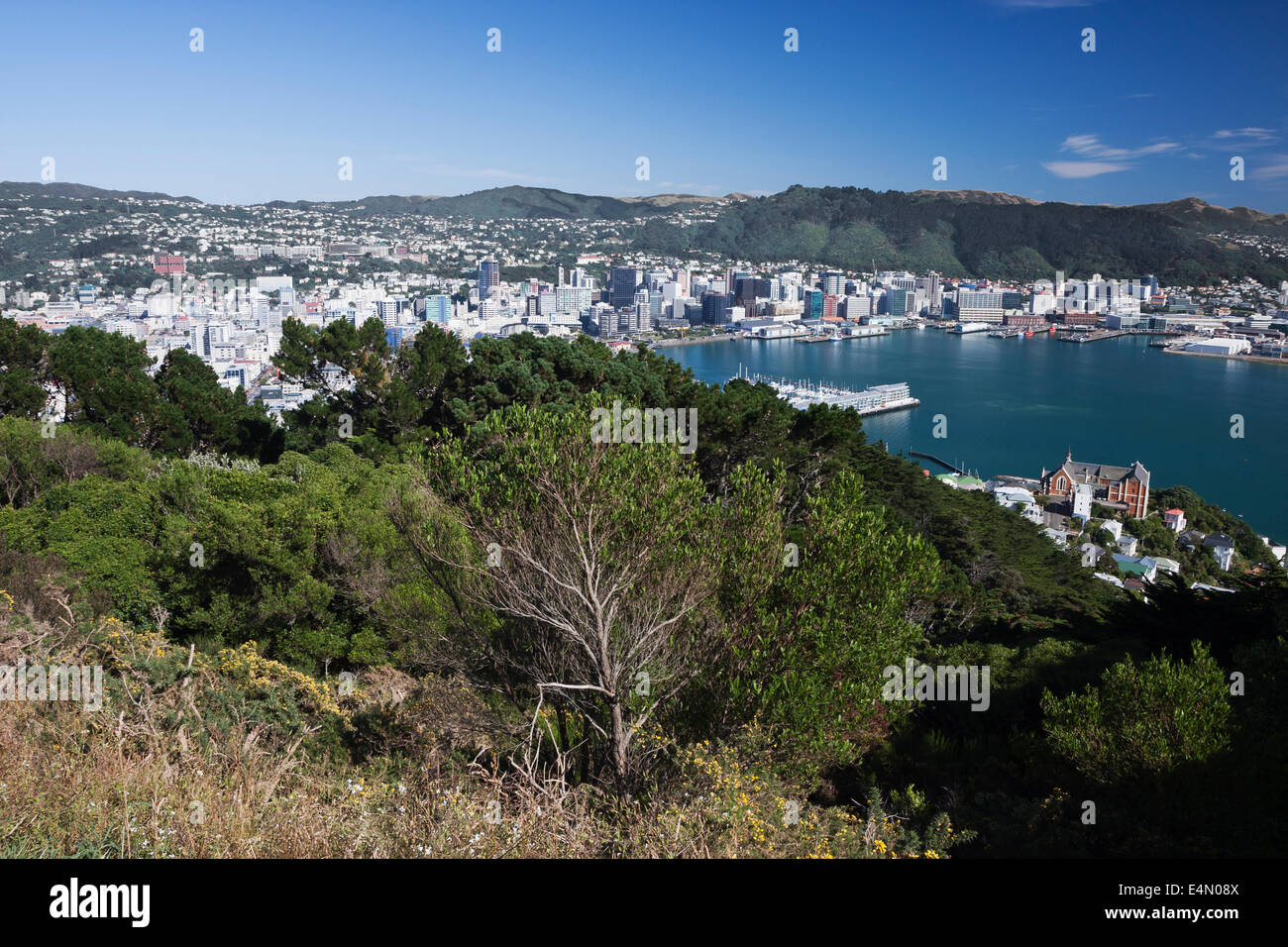 Panorama über Lambton Harbour von Mount Victoria gesehen Stockfoto