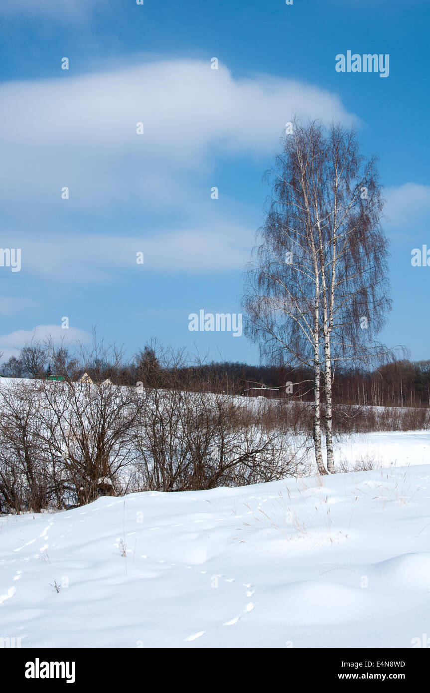 Russischer Winterlandschaft Fotos Und Bildmaterial In Hoher Aufl sung russischer-winterlandschaft-fotos-und-bildmaterial-in-hoher-aufl-sung