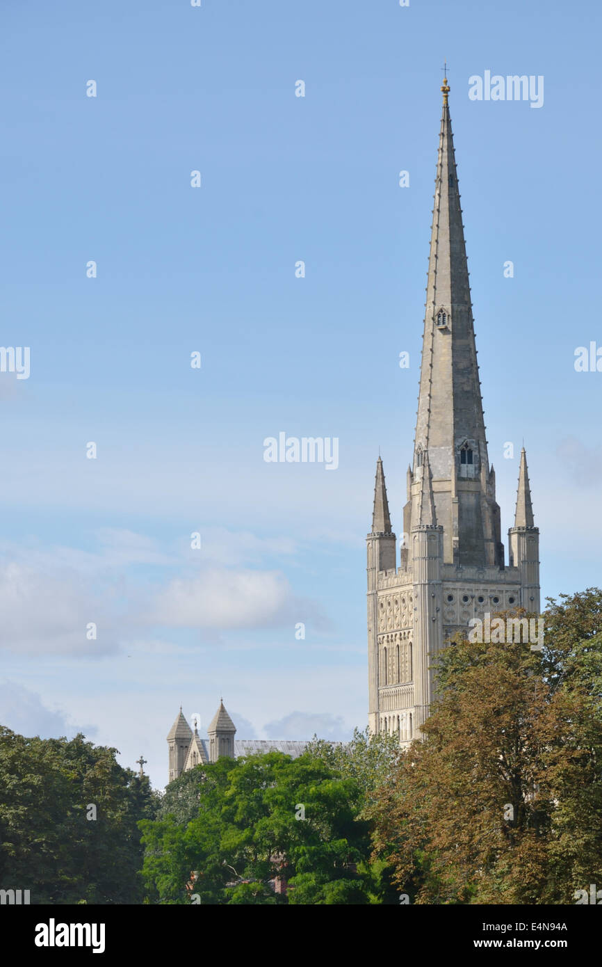 Norwich Cathedral Stockfoto