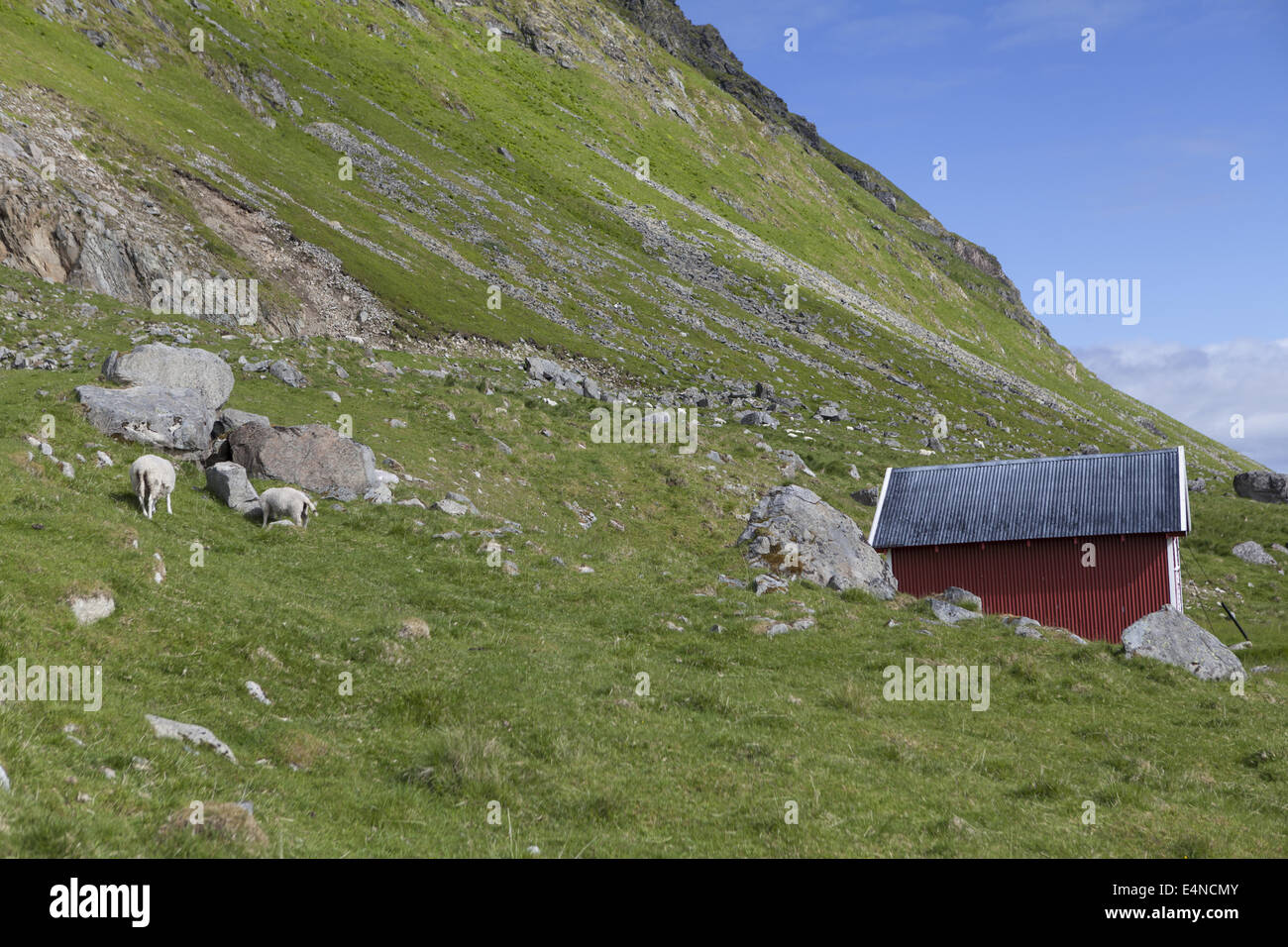 Rote Hütte, Nord-Norwegen, Lofoten-Inseln Stockfoto