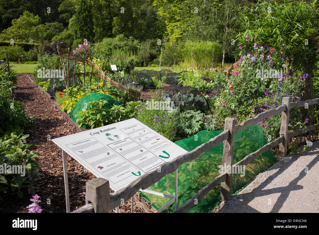 Fruchtfolge unterzeichnen vor den Gemüsegärten an RHS Harlow Carr. Harrogate, England Stockfoto