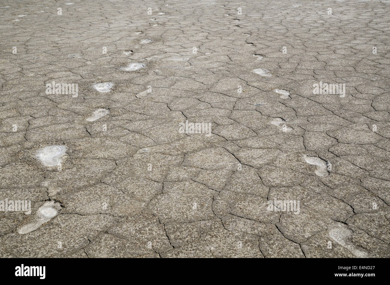 Fußspuren im Salz Stockfoto