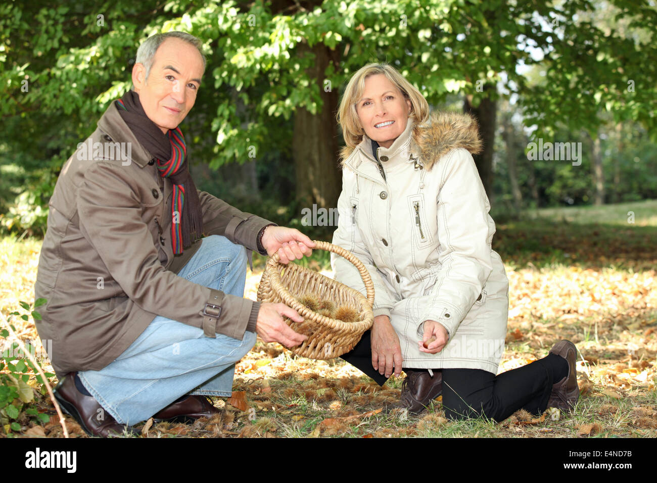 Paar sammeln Kastanien Stockfoto