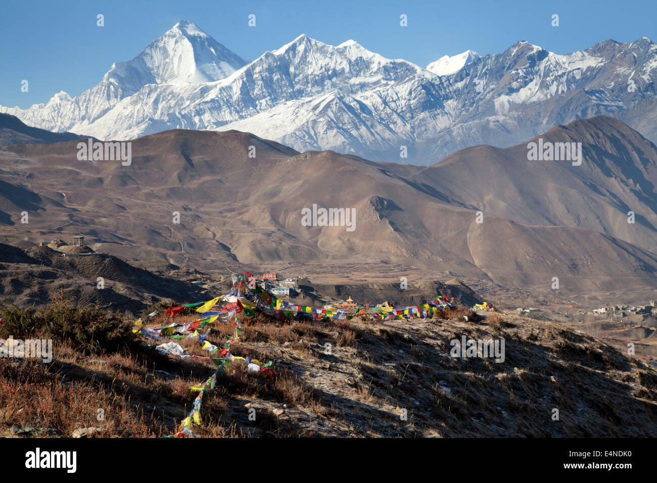 Dhaulagiri und Gebetsfahnen aus den Thorung La Pass, Muktinath, Annapurna, Nepal Stockfoto