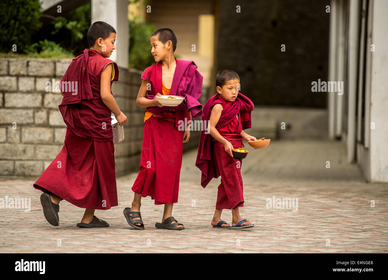 Junge buddhistische Mönche Stockfoto