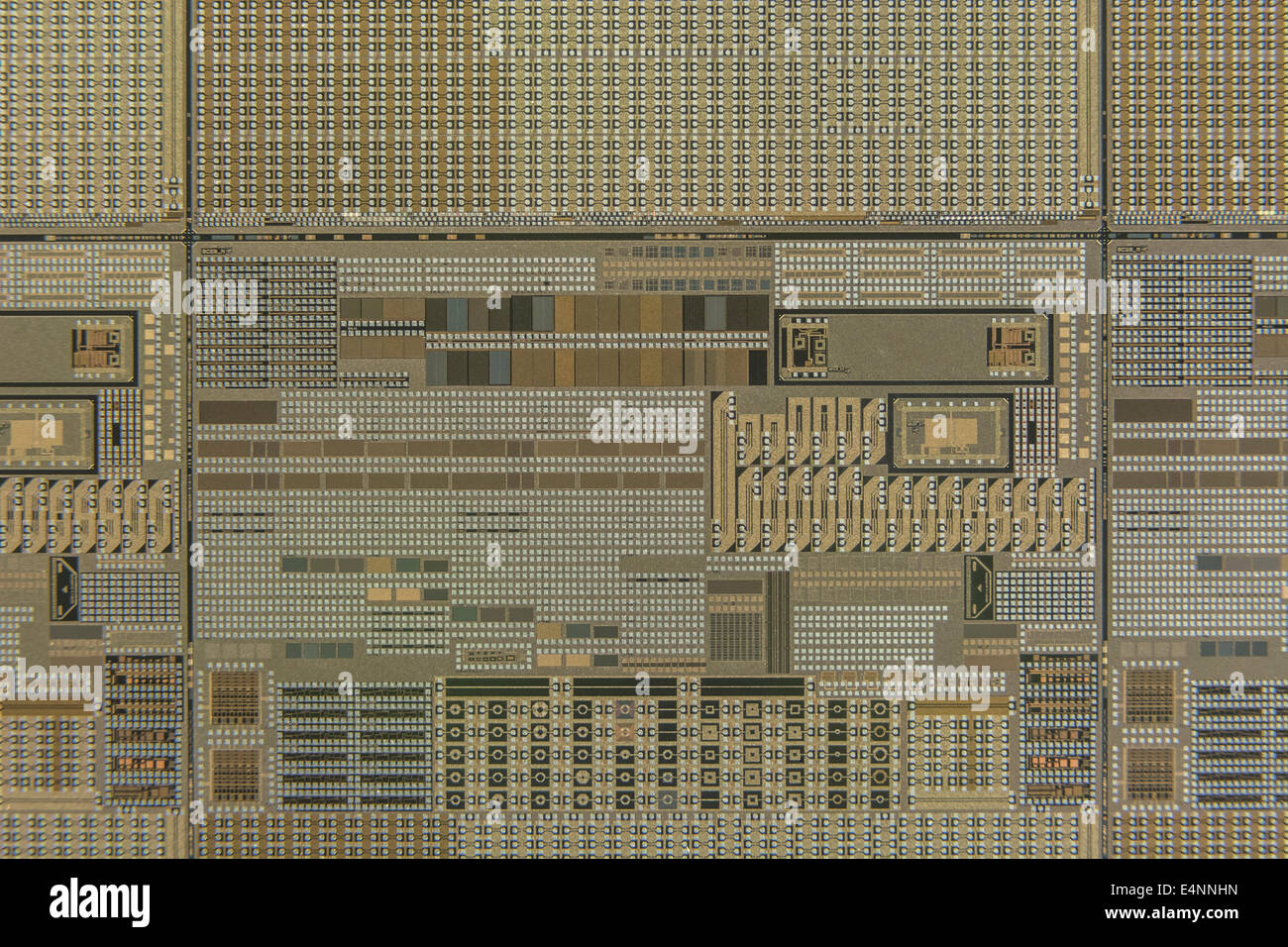 Makrofoto von Mikrokreis-Chip auf Siliziumwafer. Digitales Technologiekonzept, Mikroschaltungen, winziges Konzept, Silikonchips, Nahaufnahme Stockfoto