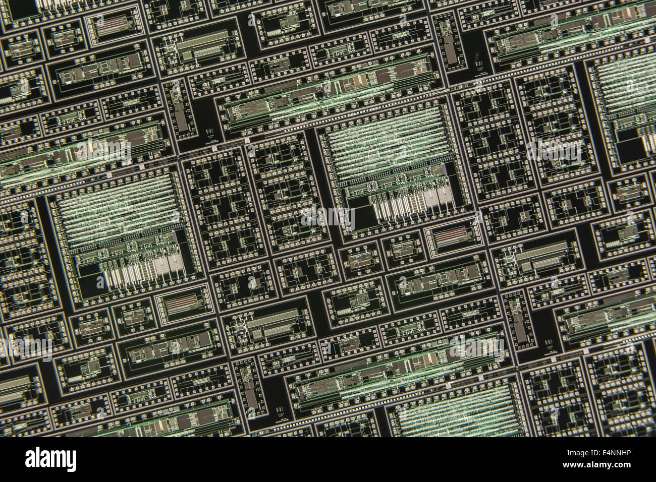 Makrofoto von 2 Mikrokreis-Chips auf Siliziumwafer. Digitales Technologiekonzept, Mikroschaltungen, winziges Konzept, Silikonchips, Nahaufnahme Stockfoto