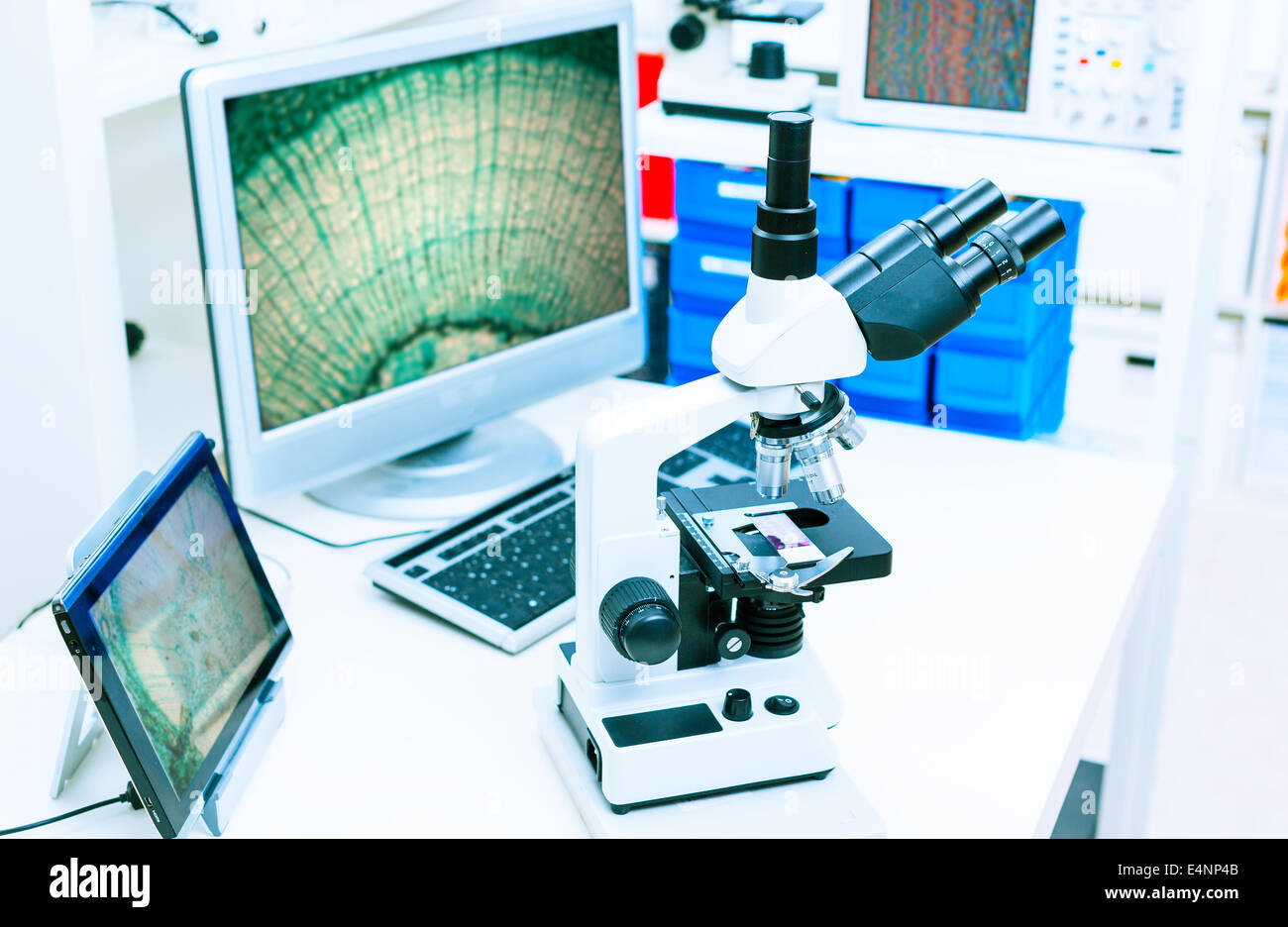 Elektronenmikroskop in der Histologie-Labor Stockfoto