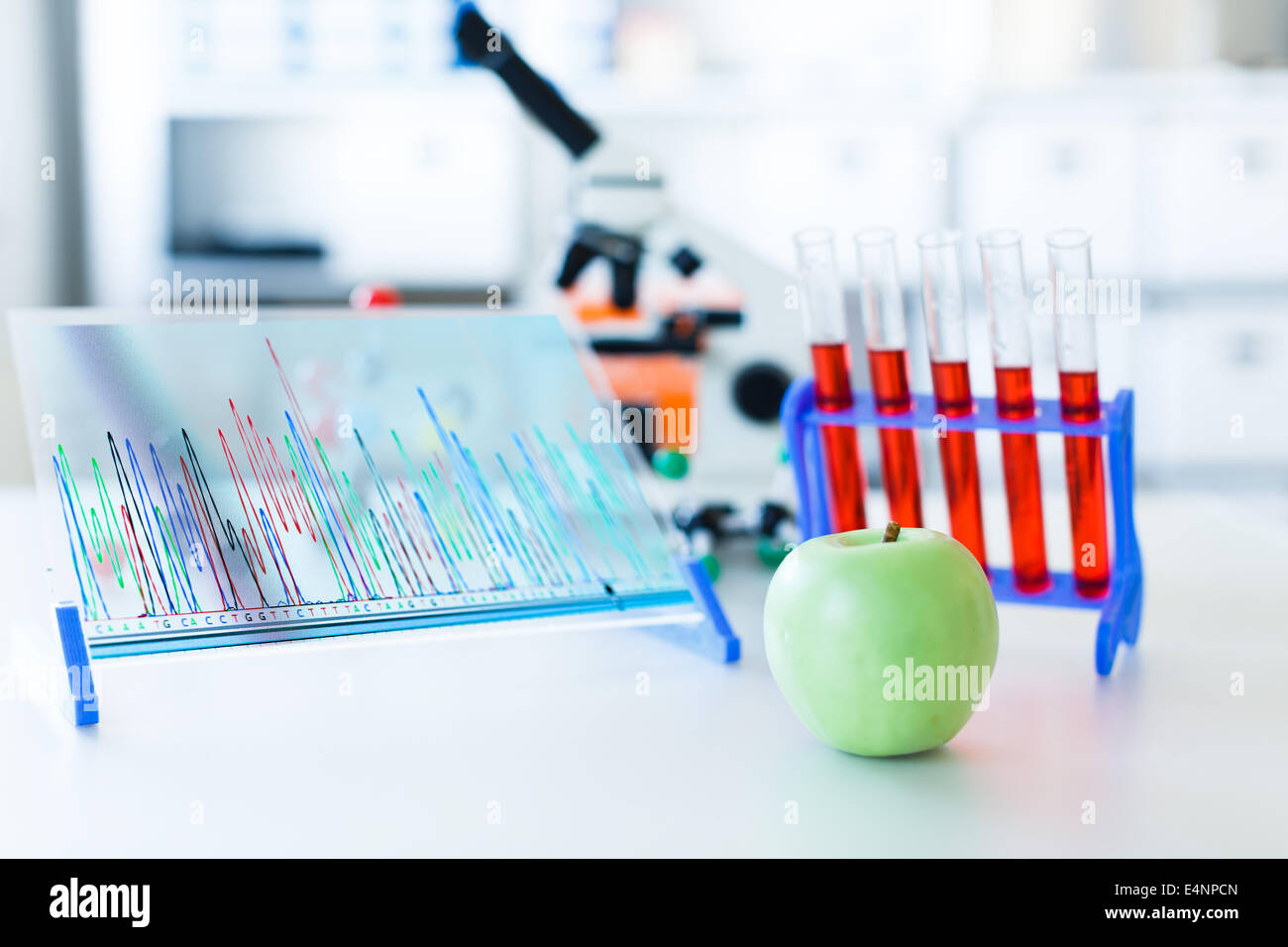 DNA-Analyse von landwirtschaftlichen Erzeugnissen, GVO Apple Konzept Stockfoto