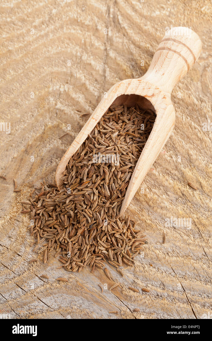 Getrockneten Kümmel oder Kreuzkümmel Samen in hölzerne Schaufel auf rustikalen Holz Hintergrund Stockfoto
