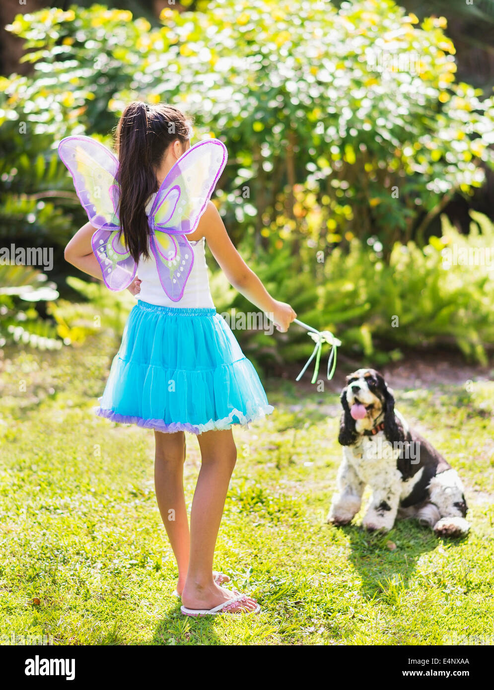 Mädchen (8-9) tragen Fee Kostüm spielen mit Hund Stockfoto
